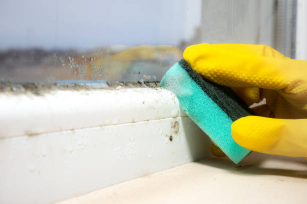 Best Office Mold Removal Services  in Bartlesville, OK
