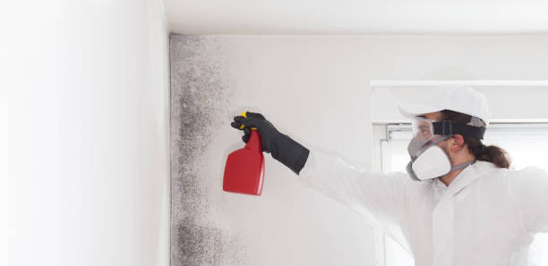 Best Home Mold Removal  in Bartlesville, OK